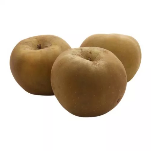 Bio : Pomme Canada Grise - photo1