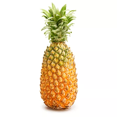 Ananas Bouteille Extra (Avion) - photo1
