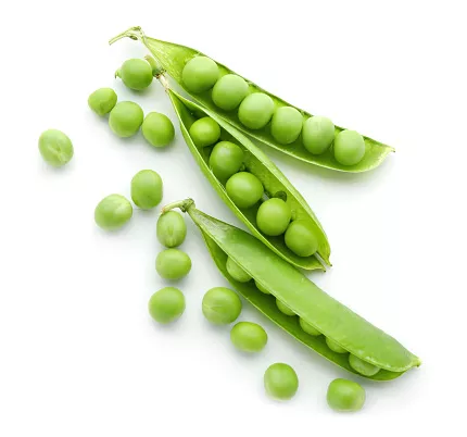 Bio : Petit Pois - photo1