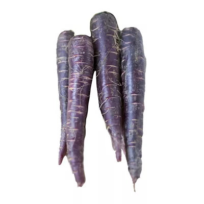 Carotte Violette - photo1