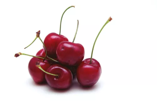 Bio : Cerise - photo2