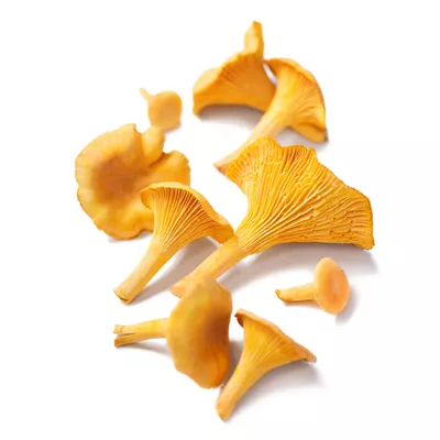 Chanterelle Jaune - Photo 1