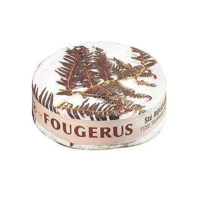 Fougerus - Rouzaire - photo1