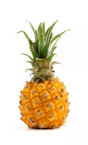 Ananas Victoria (Avion) - photo1