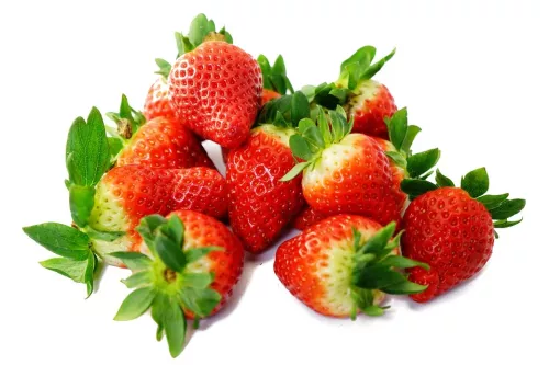 Fraise de Carros - photo1