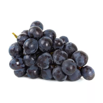 Raisin Noir - photo1