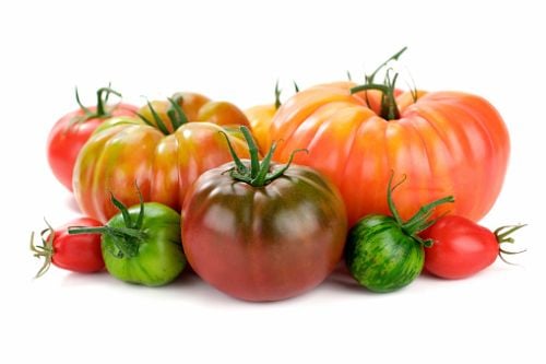 Bio : Tomate Ancienne - Photo 1