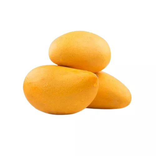 Bio : Mangue Sauvage - photo1