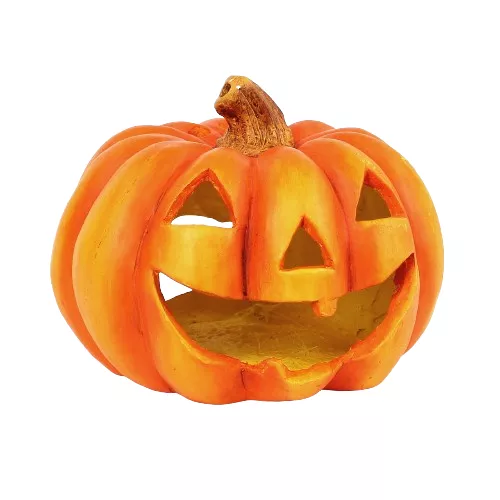 Citrouille Comestible - photo1