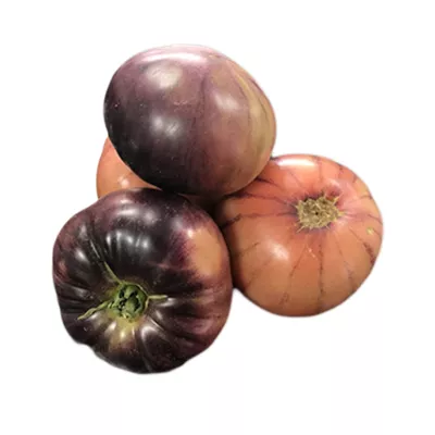 Tomate Raf Bleue - photo1