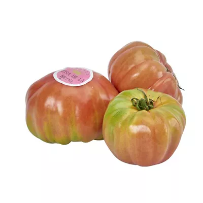 Tomate Rose de la Reine - photo1