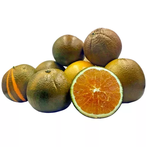 Orange Chocolat - photo1