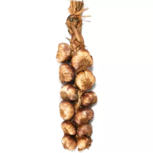 Ail Fumé - photo1