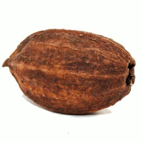 Cabosse de Cacao - Photo 1