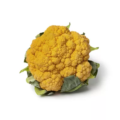 Chou Fleur Orange - photo1
