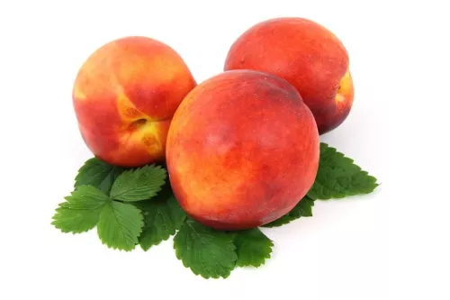 Nectarine Jaune - photo1