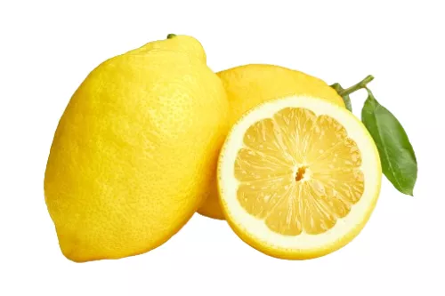 Citron de Menton - photo1