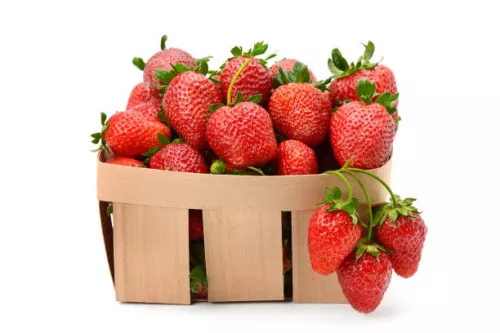 Fraise de Carpentras - photo1
