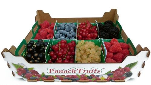 Panaché Fruits Rouges - Photo 1