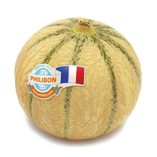 Melon Philibon - Photo 1