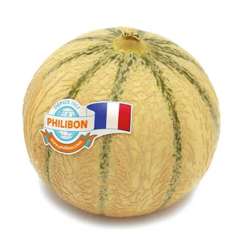 Melon Philibon - photo1