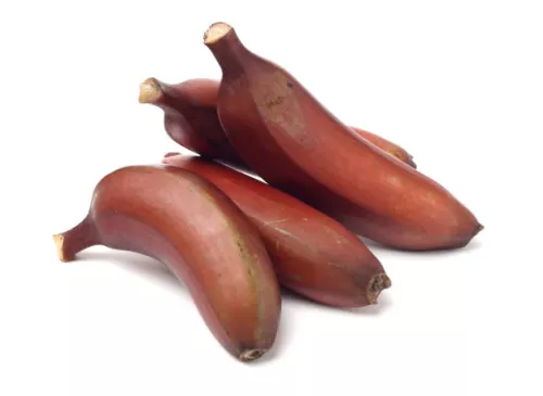 Banane Rose - photo1