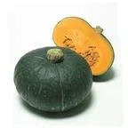 Courge Sweet Mama - photo1