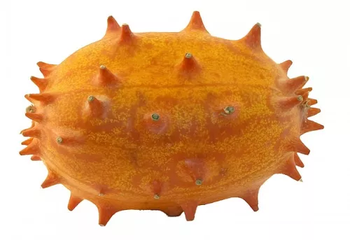 Bio : Concombre Kiwano - photo2