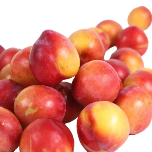 Prune - photo1