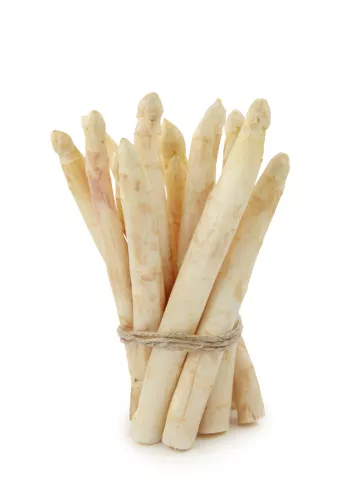 Asperge Blanche - Photo 1