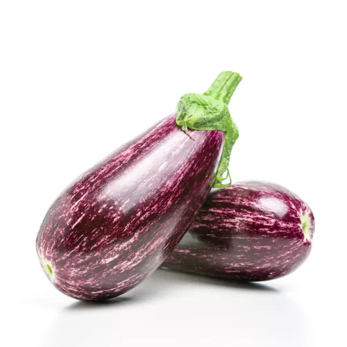 Bio : Aubergine Graffiti - photo1