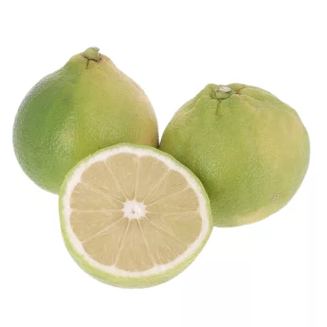 Bergamote - photo1
