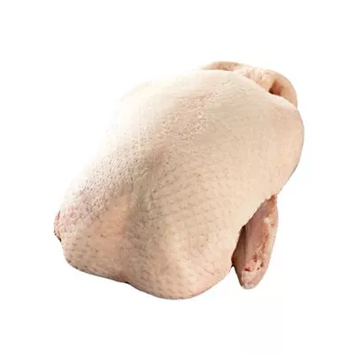 Canard Blanc Prêt à Cuire - photo1