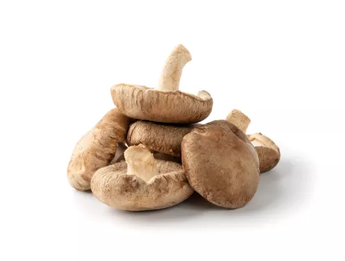 Champignon Shii-take - photo1
