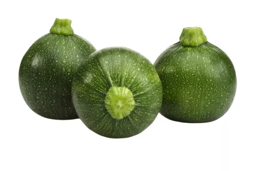 Courgette Ronde - photo1