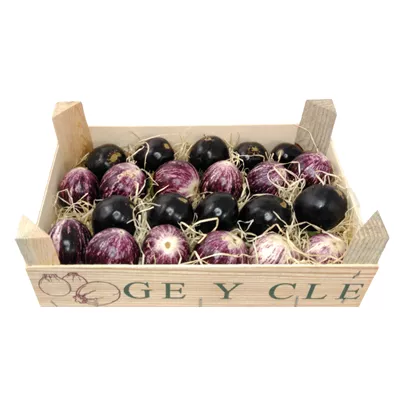 Mini Aubergine Panaché - photo1