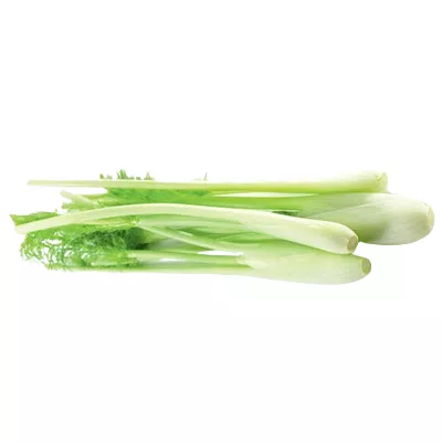 Bio : Mini Fenouil - photo1
