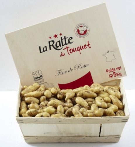 Pomme de Terre Fine Ratte du Touquet - Photo 2