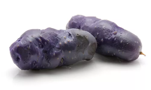 Pomme de Terre Vitelotte - photo2