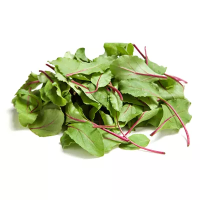 Jeune Pousse Feuille de Blette (Red Chard) - Photo 1