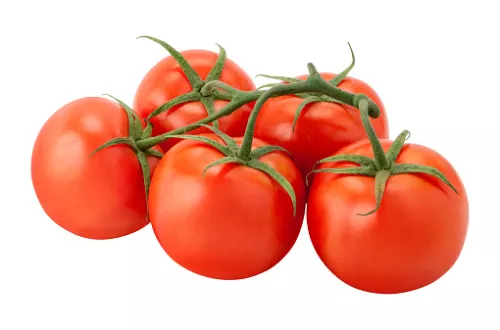 Tomate Grappe Extra - photo1