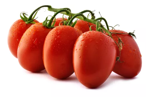 Tomate Grappe Picadilly - photo1
