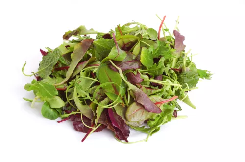 Mesclun - photo1