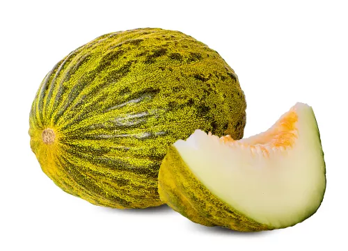 Melon Vert - photo1