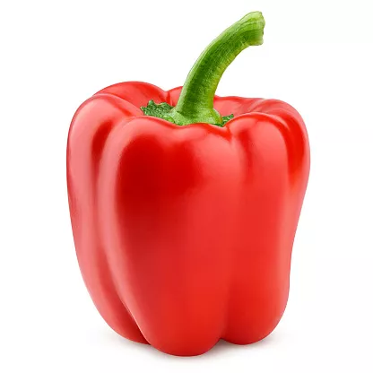 Poivron Rouge - photo2