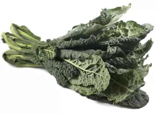 Bio : Chou Kale - photo1