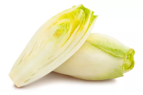 Endive - Photo 1