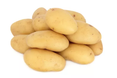 Pomme de Terre Charlotte, Chair Jaune et Ferme (Salade, Gratin, Chips, Sautées) - photo1