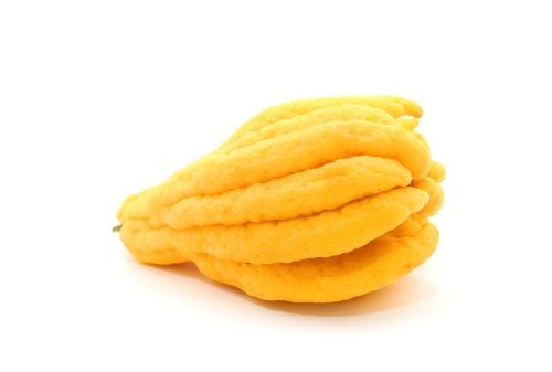 Citron Main de Bouddha - Photo 2