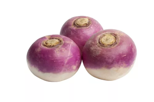 Navet Violet Rond - photo1